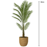 Kunstplant Areca palm 180cm - Image 3