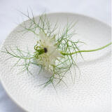 Plat bord 21cm Ø Polar - Image 2