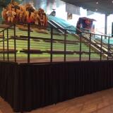 Podiumhek 2 mtr - Image 2