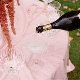 Champagne coupe Optic 21 cl  (per 15 stuks) - Image 2